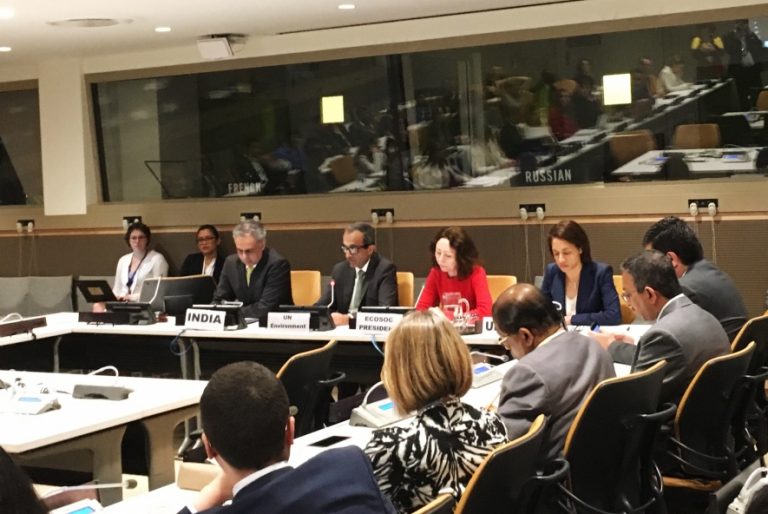 Sri Lanka takes part in the World Environment Day held in New York
