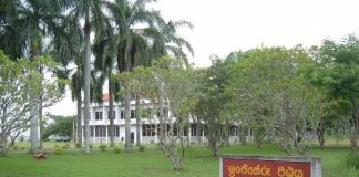 Engineering Faculty of Peradeniya University temporarily closed