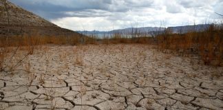 Govt to write-off loans given to women in drought – affected districts