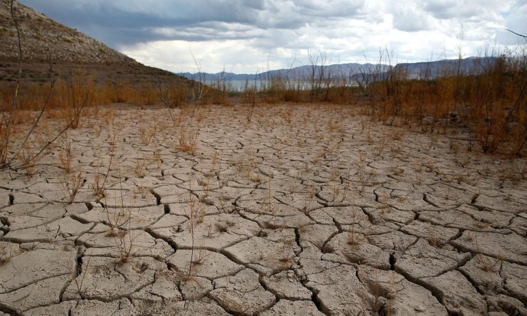 Govt to write-off loans given to women in drought – affected districts