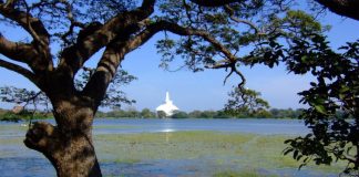 1000 Tanks – 1000 Villages’ development program commenced