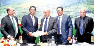 ‘Good quality, value addition a must to salvage the tea industry’