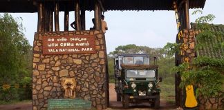 PROGRESS ON PLAN TO PROTECT YALA NATIONAL PARK