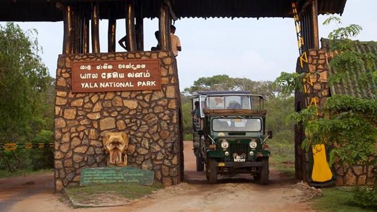 PROGRESS ON PLAN TO PROTECT YALA NATIONAL PARK