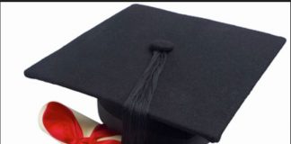 4130 unemployed graduates to receive trainee appointments
