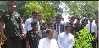 Army to cultivate over 135,000 herbal plants in all SFHQs