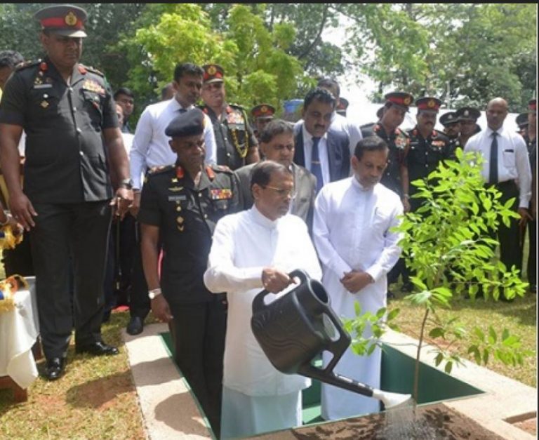 Army to cultivate over 135,000 herbal plants in all SFHQs