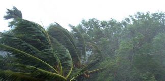 187 houses damaged in Kurunegala by strong winds