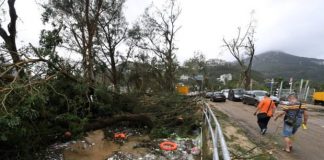 Massive clean-up in Hong Kong after typhoon chaos