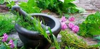 Indigenous medicine confab in October