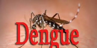 Dengue Prevention Week enters day one