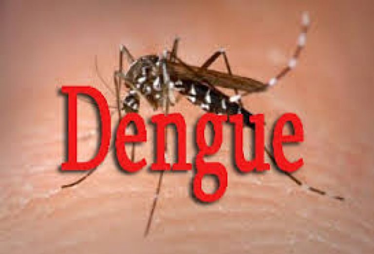 Dengue Prevention Week enters day one