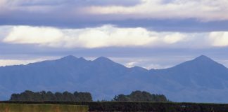 Kiwi dairy giant Fonterra posts first-ever loss