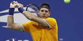 Del Potro savours ‘amazing year’ after injury hell