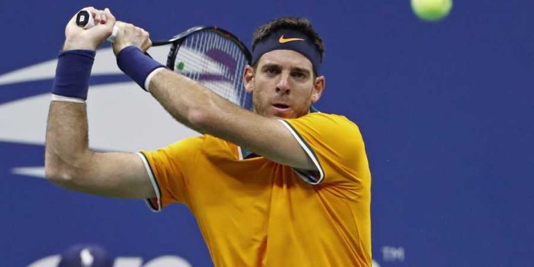 Del Potro savours ‘amazing year’ after injury hell