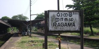 Two injured after being hit by a train in Ragama, 2 dead
