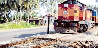 Signals to inform train drivers of wild elephants