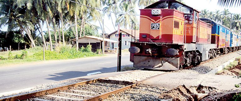 Signals to inform train drivers of wild elephants