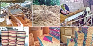 Industrial production Index up 1.1%