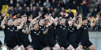 ‘They can be beaten’: All Blacks defeat offers World Cup hope