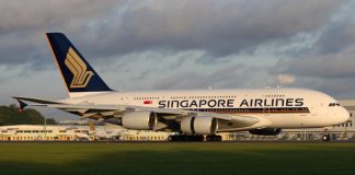 Singapore Airlines bans lion bones in cargo