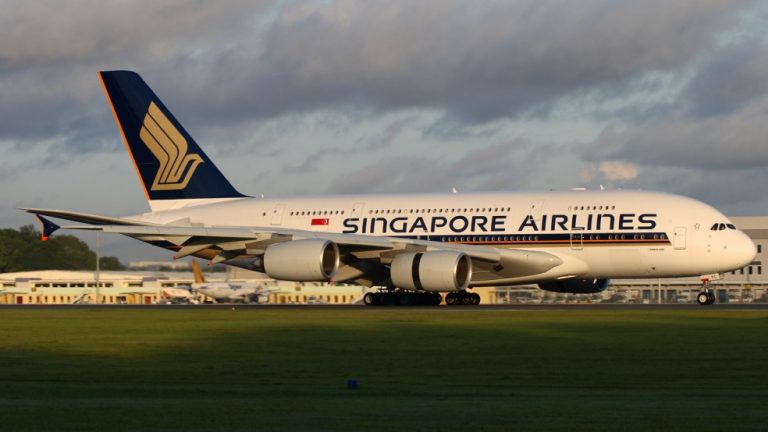 Singapore Airlines bans lion bones in cargo