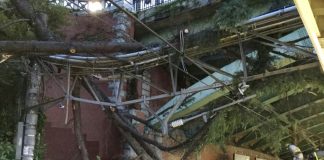 Two dead after typhoon batters Japan