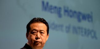 Meng Hongwei: ex-Interpol chief caught in China’s anti-graft drive