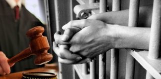 Police have commenced special operations to wipe out the ‘Aava’ crime gang in Jaffna.