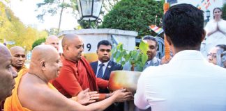 Germany receives a sapling of sacred Sri Maha Bodhi
