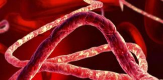 DR Congo Ebola outbreak: Death toll passes 200