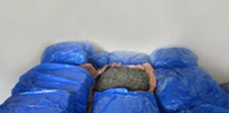 SL Navy recovers Kerala Cannabis in Talaimannar area