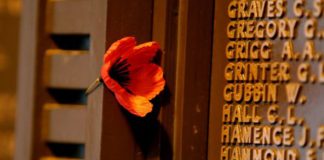 Armistice Day: Remembrance events around world mark end of WW1