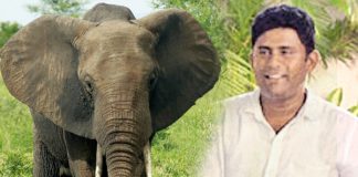 Case against Ali Roshan to be heard in December 05