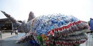 China expands ban on waste imports