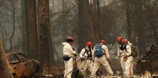 California wildfires: Number of missing leaps to 600