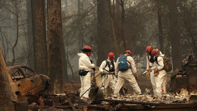 California wildfires: Number of missing leaps to 600