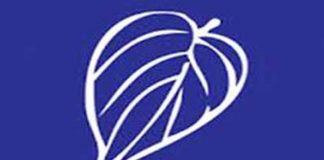 Government group’s nominees to Parliamentary Select Committee