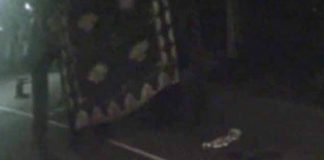 Elephant kills mahout during Perahera