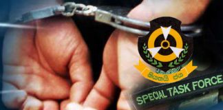 STF arrests underworld member at Hanwella