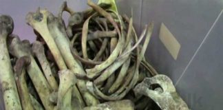 Unclaimed remains of Tsunami victims donated to medical students