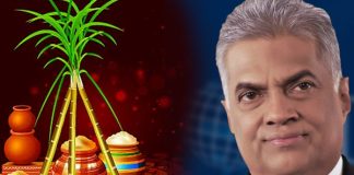 Thai Pongal delivers values of gratefulness to world