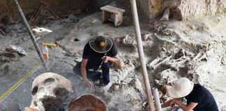 Mannar mass grave: skeletal remains of 300 persons unearthed (photos)