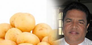 Import levy on potatoes and maize increased