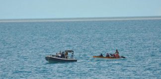 Illegally transported sea cucumbers seized by Navy