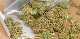 SL arrested with marijuana in Tamil Nadu