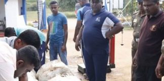 820kg of ‘Beedi’ leaves seized in Adampan