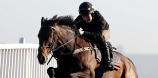 Jumps no obstacle to rise of female jockeys