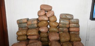 Navy finds 120 kg Kerala cannabis in Talaimannar sea
