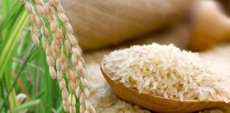 Maximum retail prices for Nadu and Samba from April